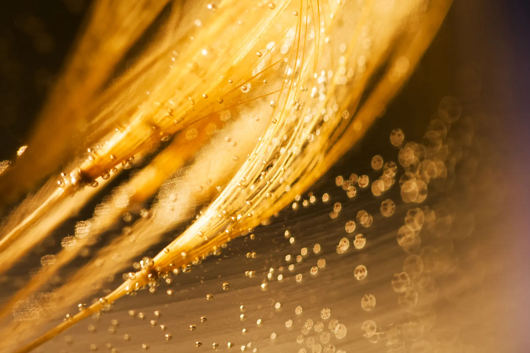 Gold Spekulationsfrist Dauer